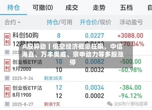 A股异动丨低空经济概念狂飙，中信海直	、万丰奥威、宗申动力等多股涨停-第2张图片