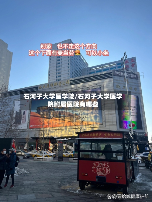 石河子大学医学院/石河子大学医学院附属医院有哪些-第2张图片