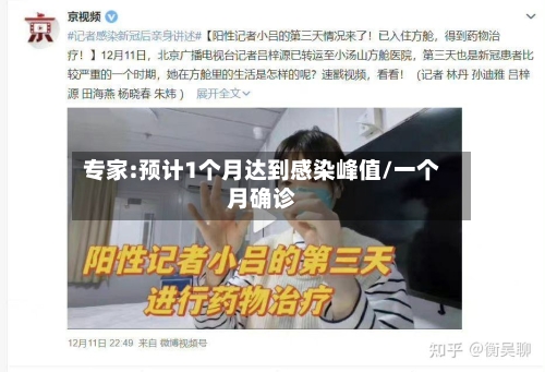 专家:预计1个月达到感染峰值/一个月确诊