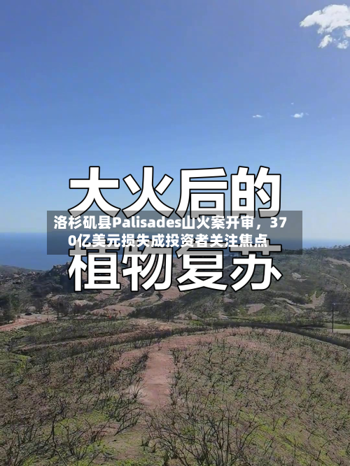 洛杉矶县Palisades山火案开审	，370亿美元损失成投资者关注焦点-第2张图片