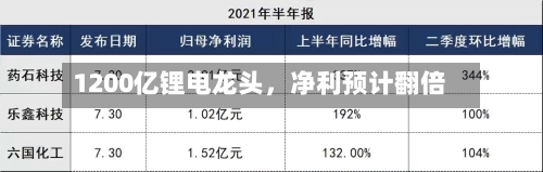 1200亿锂电龙头，净利预计翻倍-第2张图片