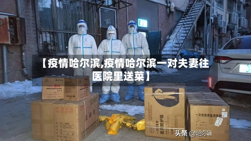 【疫情哈尔滨,疫情哈尔滨一对夫妻往医院里送菜】