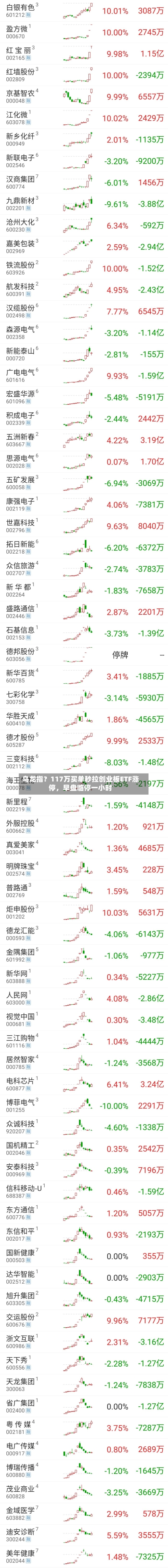 乌龙指？117万买单秒拉创业板ETF涨停	，早盘临停一小时-第2张图片
