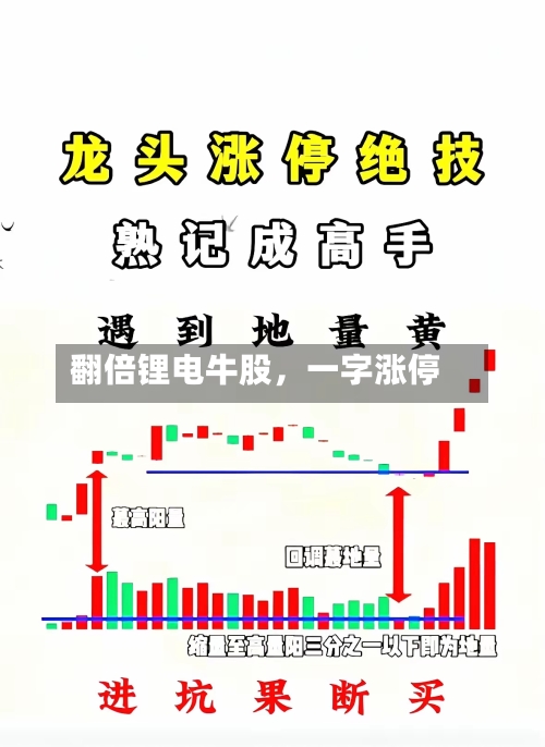 翻倍锂电牛股，一字涨停-第2张图片