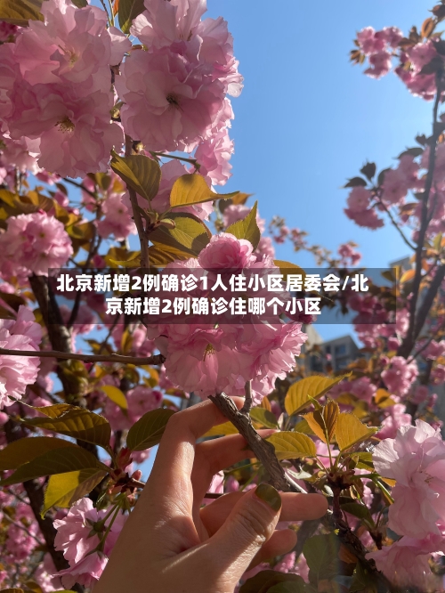 北京新增2例确诊1人住小区居委会/北京新增2例确诊住哪个小区-第3张图片