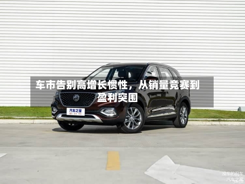 车市告别高增长惯性，从销量竞赛到盈利突围-第3张图片