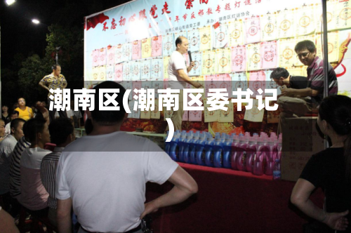 潮南区(潮南区委书记)