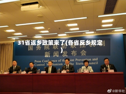 31省返乡政策来了(各省反乡规定)