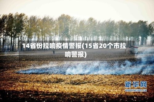 14省份拉响疫情警报(15省20个市拉响警报)-第2张图片