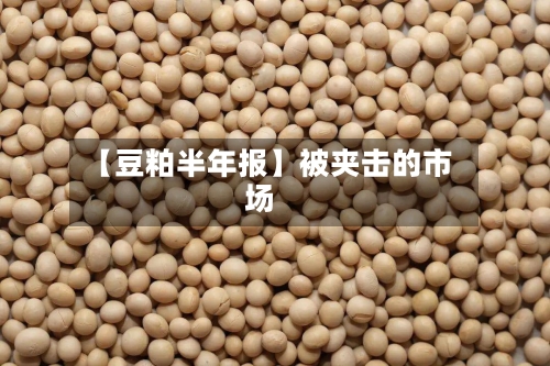 【豆粕半年报】被夹击的市场