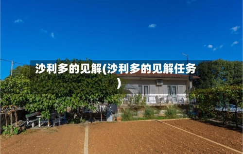 沙利多的见解(沙利多的见解任务)